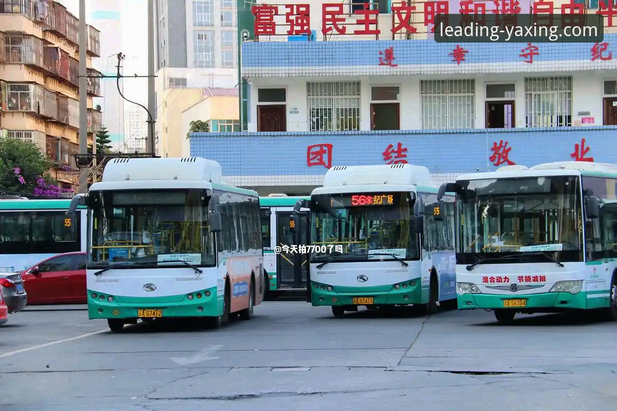 亚星体育平台：亚星客车贷款方案安装教程与金融产品深度解析